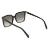 Picture of Salvatore Ferragamo Sunglasses SF2102S