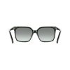 Picture of Salvatore Ferragamo Sunglasses SF2102S