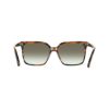 Picture of Salvatore Ferragamo Sunglasses SF2102S