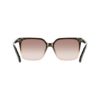 Picture of Salvatore Ferragamo Sunglasses SF2102S