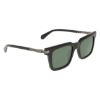 Picture of Salvatore Ferragamo Sunglasses SF2103S