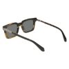 Picture of Salvatore Ferragamo Sunglasses SF2103S
