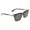 Picture of Salvatore Ferragamo Sunglasses SF2103S