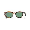 Picture of Salvatore Ferragamo Sunglasses SF2107S