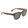 Picture of Salvatore Ferragamo Sunglasses SF2107S