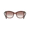 Picture of Salvatore Ferragamo Sunglasses SF2108S