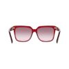 Picture of Salvatore Ferragamo Sunglasses SF2109S