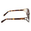 Picture of Salvatore Ferragamo Sunglasses SF2111S