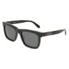 Picture of Salvatore Ferragamo Sunglasses SF2113S