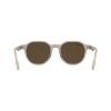 Picture of Lacoste Sunglasses L6087S