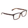 Picture of Blue Ribbon Eyeglasses M-3036