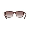 Picture of Nike Sunglasses TEMPER FLAIR IF1055X