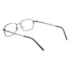 Picture of Flexon Eyeglasses FLX810MAG-SET N