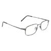Picture of Flexon Eyeglasses FLX810MAG-SET N