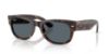 Picture of Ray Ban Sunglasses RB0832SF