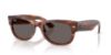 Picture of Ray Ban Sunglasses RB0832SF
