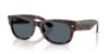 Picture of Ray Ban Sunglasses RB0832S