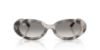 Picture of Ray Ban Sunglasses RB2223F