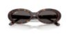 Picture of Ray Ban Sunglasses RB2223F