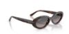 Picture of Ray Ban Sunglasses RB2223F