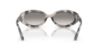 Picture of Ray Ban Sunglasses RB2223