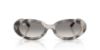 Picture of Ray Ban Sunglasses RB2223