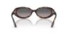 Picture of Ray Ban Sunglasses RB2223