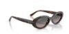 Picture of Ray Ban Sunglasses RB2223
