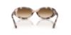 Picture of Ray Ban Sunglasses RB2223
