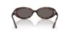 Picture of Ray Ban Sunglasses RB2223