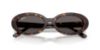 Picture of Ray Ban Sunglasses RB2223