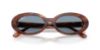 Picture of Ray Ban Sunglasses RB2223