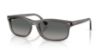 Picture of Ray Ban Sunglasses RB2224