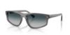 Picture of Ray Ban Sunglasses RB2225