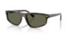 Picture of Ray Ban Sunglasses RB2225