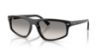 Picture of Ray Ban Sunglasses RB2225
