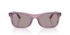 Picture of Ray Ban Sunglasses RB2226F
