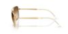 Picture of Ray Ban Sunglasses RB3755