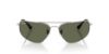 Picture of Ray Ban Sunglasses RB3780