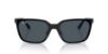 Picture of Ray Ban Sunglasses RB3784D