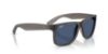 Picture of Ray Ban Sunglasses RB4165F
