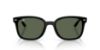 Picture of Ray Ban Sunglasses RB4461D