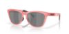 Picture of Oakley Sunglasses FROGSKINS RANGE