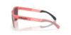 Picture of Oakley Sunglasses FROGSKINS RANGE