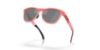 Picture of Oakley Sunglasses FROGSKINS RANGE