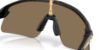 Picture of Oakley Sunglasses STUNT DEVIL S