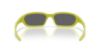 Picture of Oakley Sunglasses TERRAFORMA