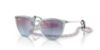 Picture of Ray Ban Sunglasses RJ9060SF