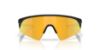 Picture of Oakley Sunglasses RESISTOR SWEEP