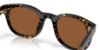 Picture of Costa Del Mar Sunglasses 6S2018
